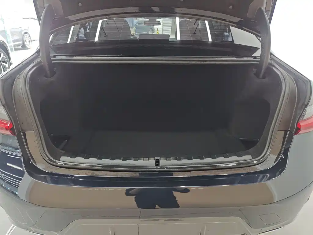 BMW BMW 3 Series 2024 325Li M Sport Package 2024 - thumbnail 29