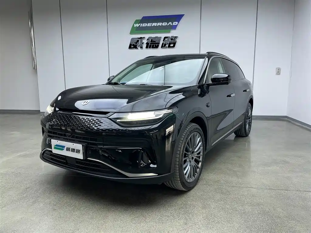 Leapmotor Leapmotor C11 2024 Extended Range 300 Premium Edition 2024