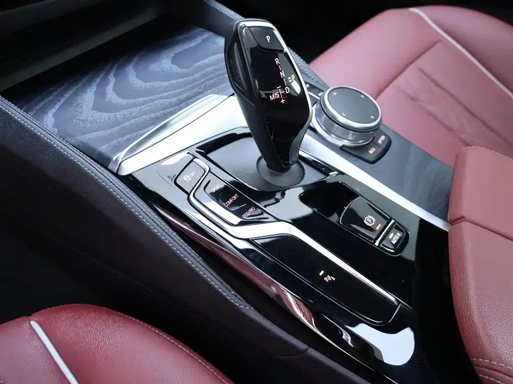 BMW BMW 5 Series 2021 530Li Leading Model M Sport Package 2021 - thumbnail 12