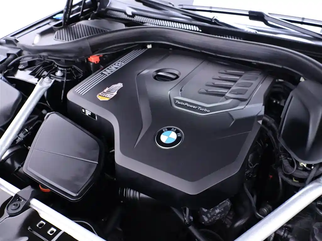 BMW BMW 5 Series 2021 530Li Leading Model M Sport Package 2021 - thumbnail 23