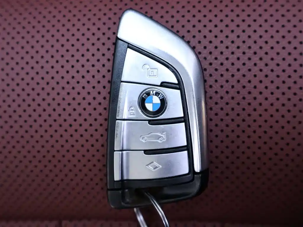 BMW BMW 5 Series 2021 530Li Leading Model M Sport Package 2021 - thumbnail 24