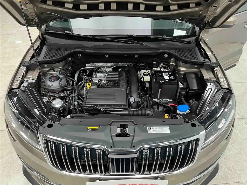 Skoda Karoq 2025 TSI280 Luxury Edition 2025 - thumbnail 21