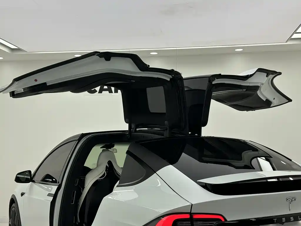 Tesla Model X 2017 Model X 100D Long Range Version 2017 - thumbnail 20