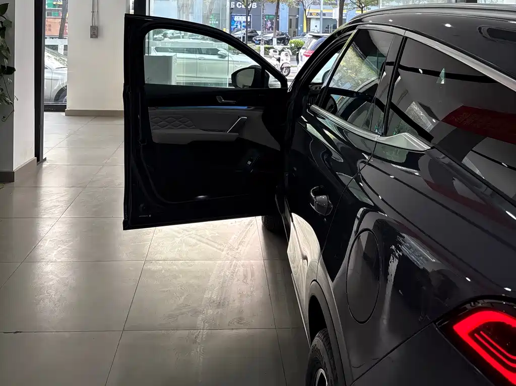 BYD BYD Tang NEV 2025 Intelligent Driving Edition DM-i 115KM Flagship Model 2025 - thumbnail 8