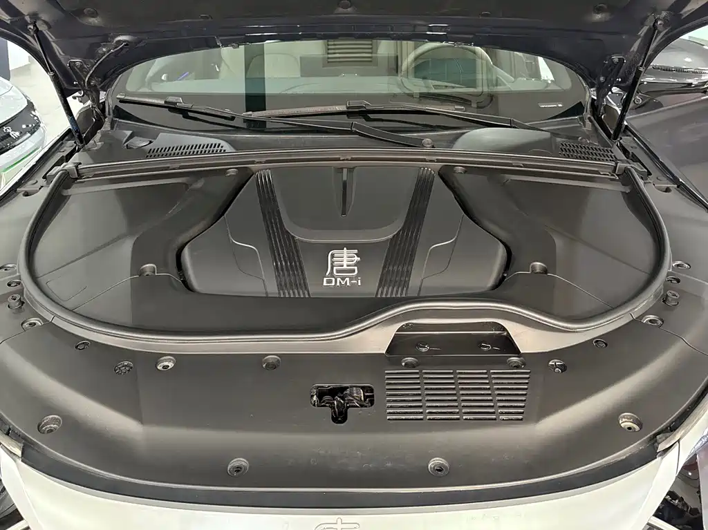 BYD BYD Tang NEV 2025 Intelligent Driving Edition DM-i 115KM Flagship Model 2025 - thumbnail 13