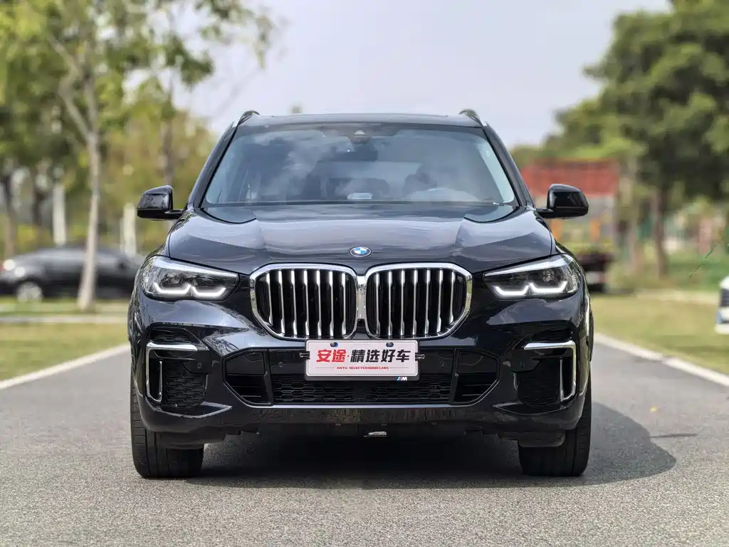 BMW BMW X5 xDrive 30Li M Sport Package 2022 Model Year 2022 - thumbnail 2