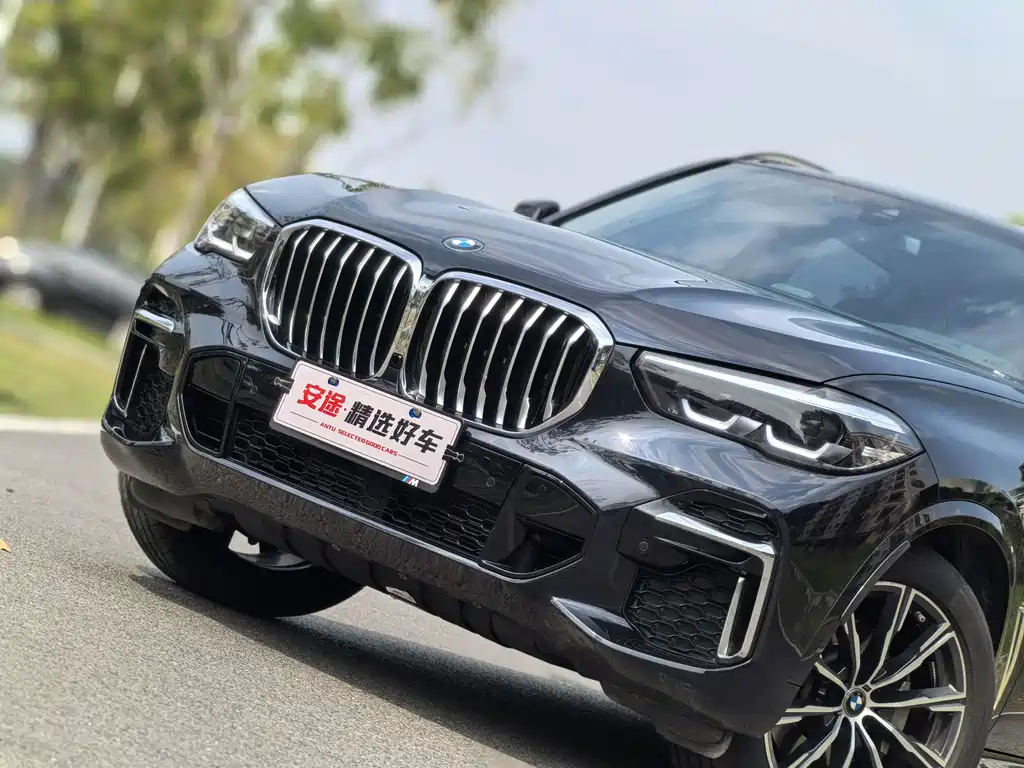 BMW BMW X5 xDrive 30Li M Sport Package 2022 Model Year 2022 - thumbnail 5