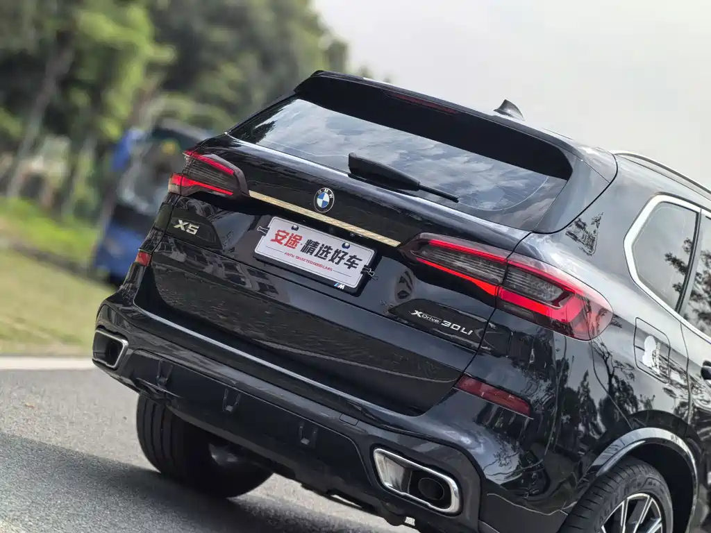 BMW BMW X5 xDrive 30Li M Sport Package 2022 Model Year 2022 - thumbnail 6