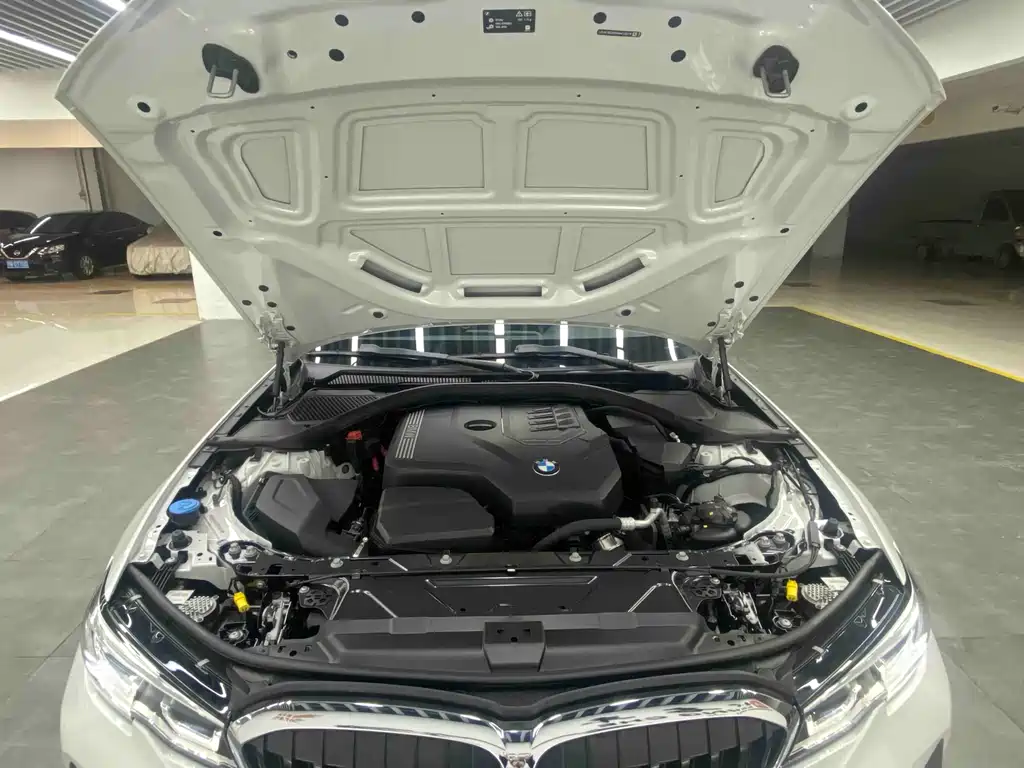 BMW BMW 3 Series 2022 320Li M Sport Package 2022 - thumbnail 21