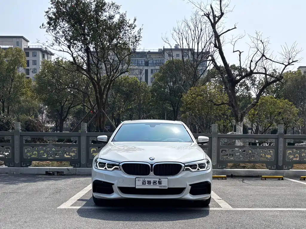 BMW BMW 5 Series 2020 530Li Luxury M Sport Package 2020 - thumbnail 2