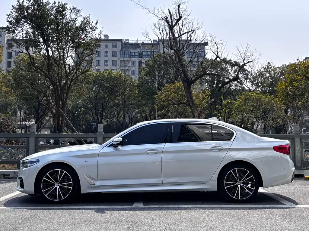 BMW BMW 5 Series 2020 530Li Luxury M Sport Package 2020 - thumbnail 3