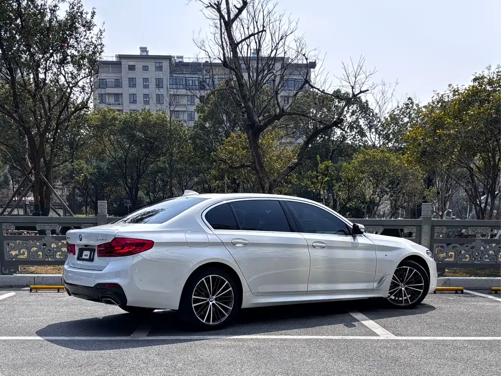 BMW BMW 5 Series 2020 530Li Luxury M Sport Package 2020 - thumbnail 4