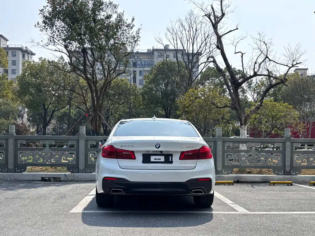 BMW BMW 5 Series 2020 530Li Luxury M Sport Package 2020 - thumbnail 5