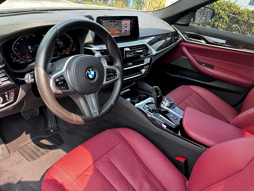 BMW BMW 5 Series 2020 530Li Luxury M Sport Package 2020 - thumbnail 8