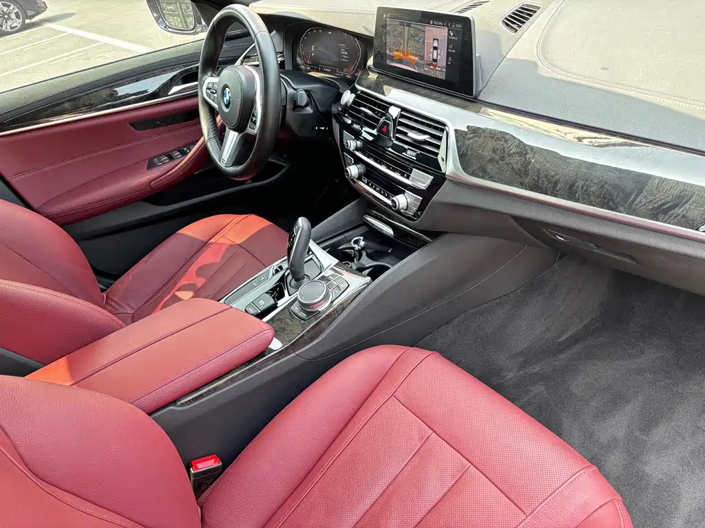 BMW BMW 5 Series 2020 530Li Luxury M Sport Package 2020 - thumbnail 10