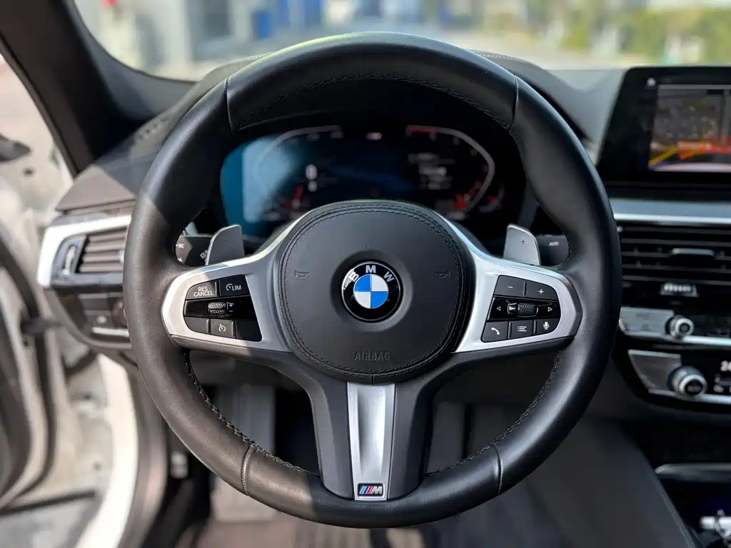 BMW BMW 5 Series 2020 530Li Luxury M Sport Package 2020 - thumbnail 16