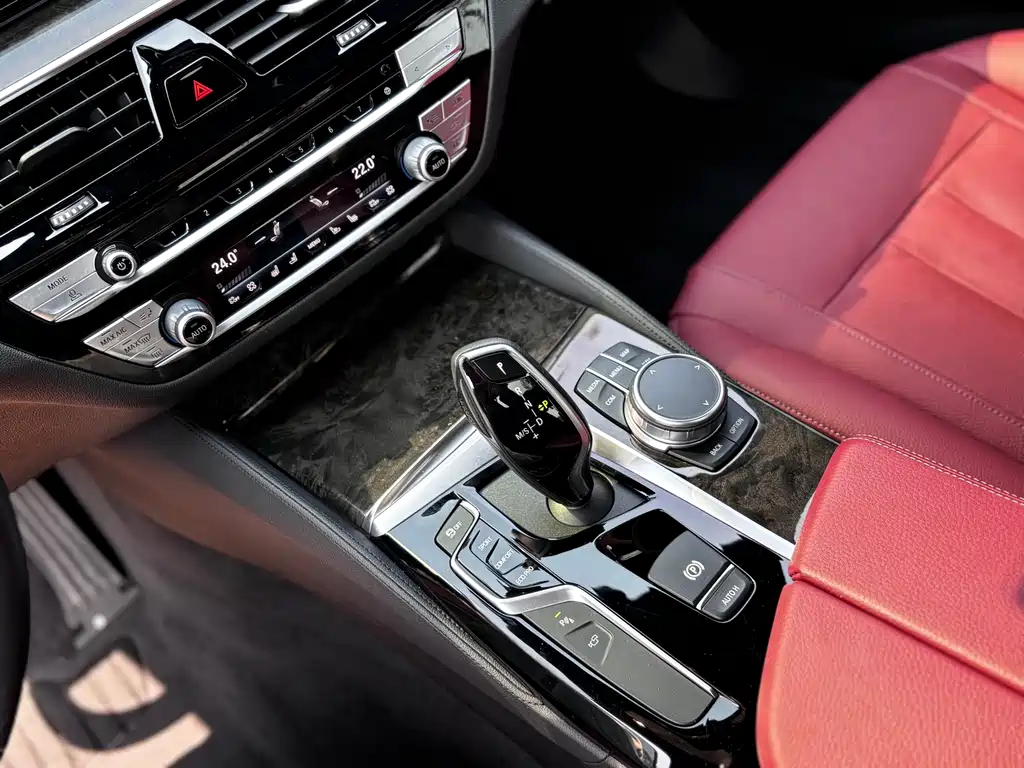 BMW BMW 5 Series 2020 530Li Luxury M Sport Package 2020 - thumbnail 20