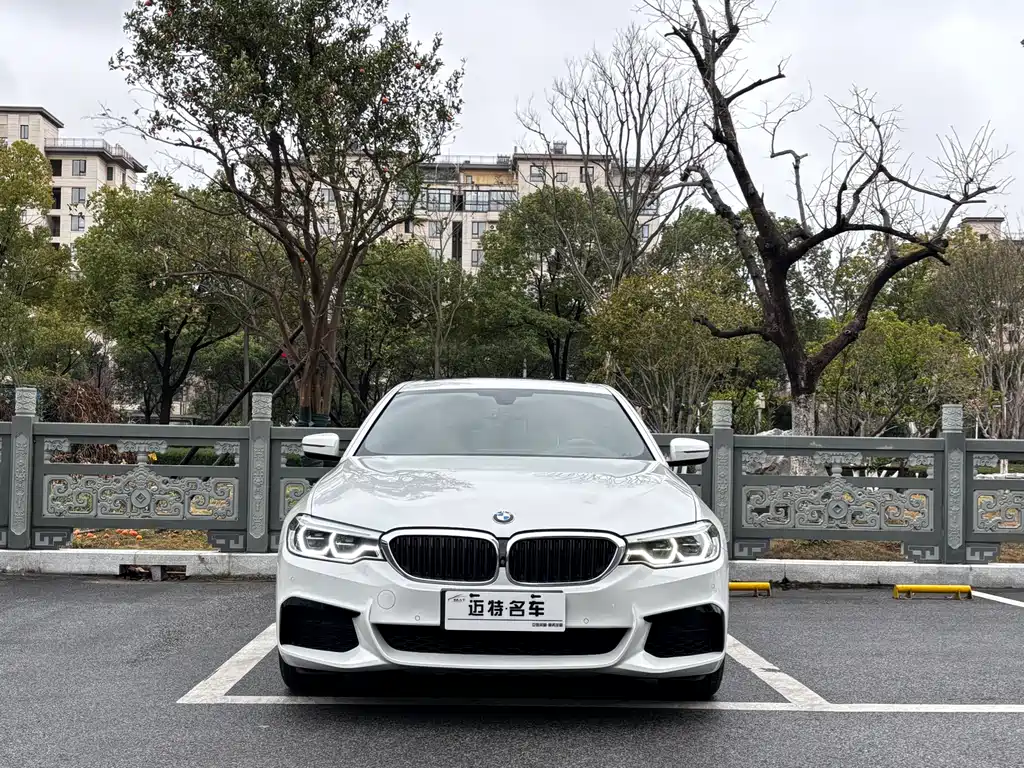 BMW BMW 5 Series 2020 530Li Premium M Sport Package 2020 - thumbnail 2