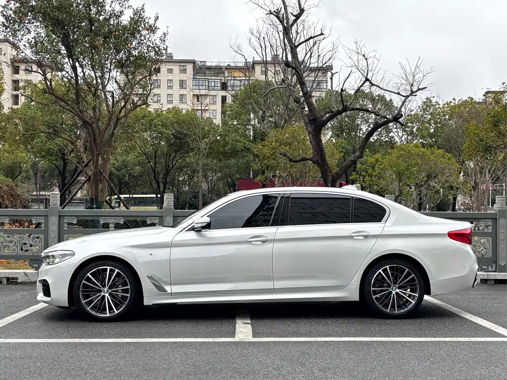 BMW BMW 5 Series 2020 530Li Premium M Sport Package 2020 - thumbnail 3
