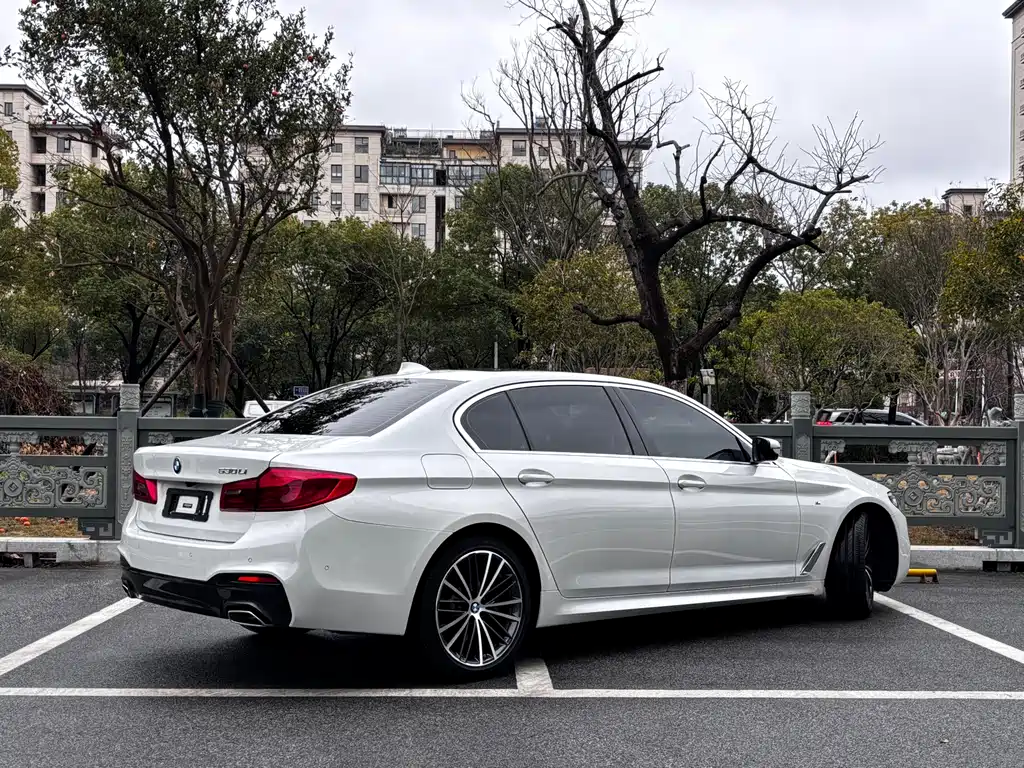 BMW BMW 5 Series 2020 530Li Premium M Sport Package 2020 - thumbnail 4