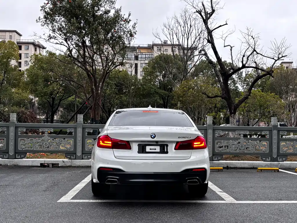 BMW BMW 5 Series 2020 530Li Premium M Sport Package 2020 - thumbnail 5