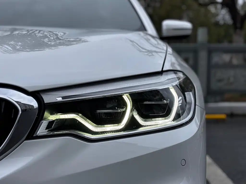 BMW BMW 5 Series 2020 530Li Premium M Sport Package 2020 - thumbnail 6