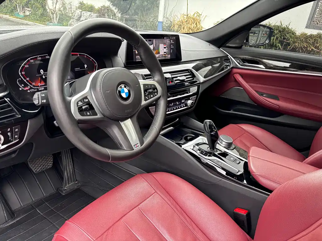 BMW BMW 5 Series 2020 530Li Premium M Sport Package 2020 - thumbnail 8