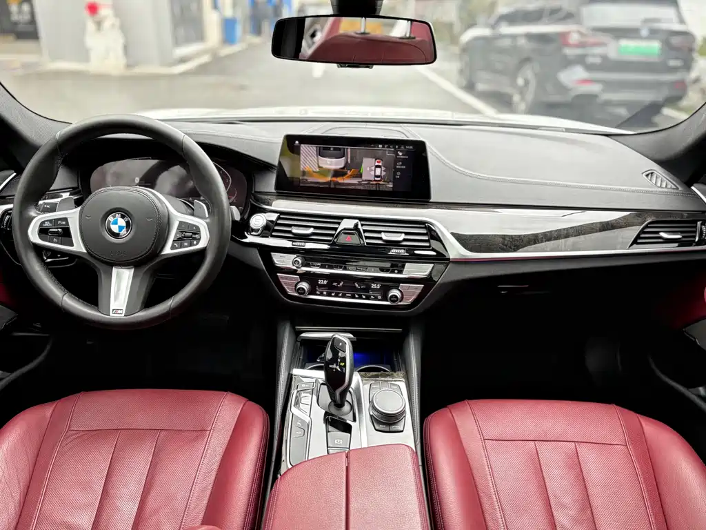 BMW BMW 5 Series 2020 530Li Premium M Sport Package 2020 - thumbnail 9