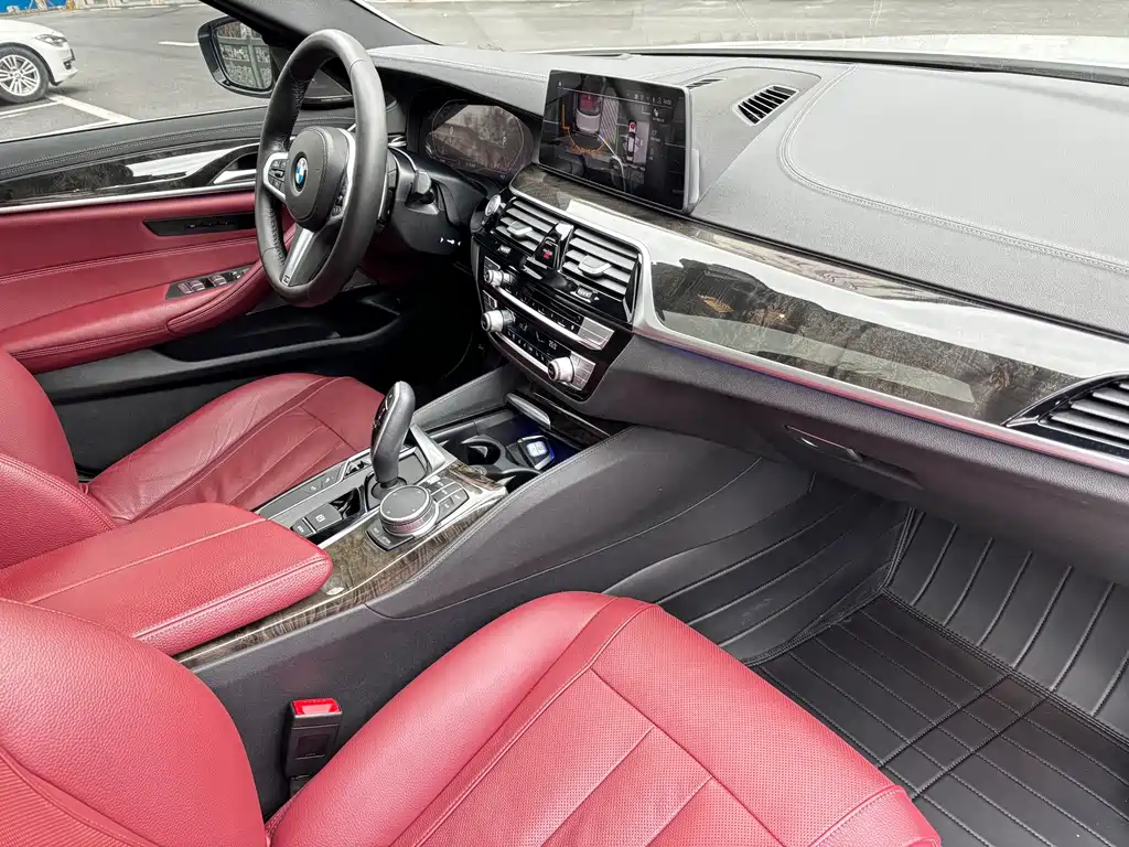 BMW BMW 5 Series 2020 530Li Premium M Sport Package 2020 - thumbnail 10