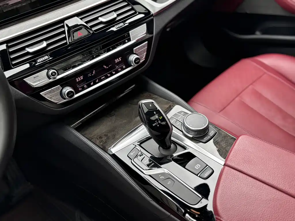 BMW BMW 5 Series 2020 530Li Premium M Sport Package 2020 - thumbnail 21