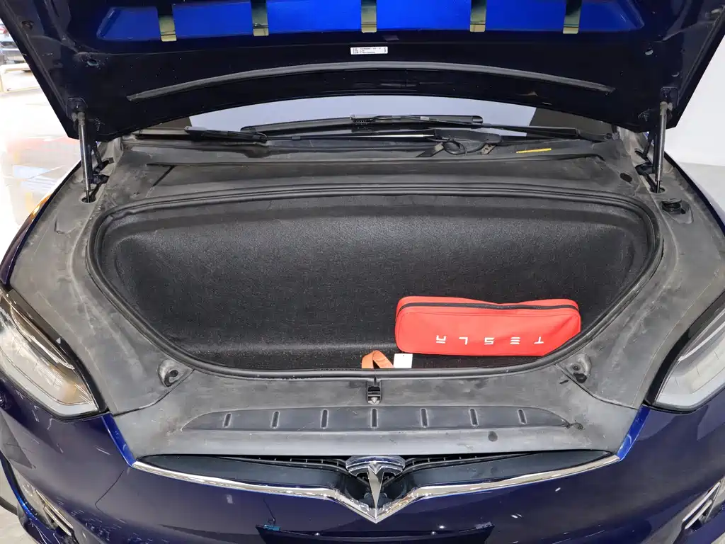 Tesla Model X 2017 Model X 100D Long Range Version 2019 - thumbnail 4