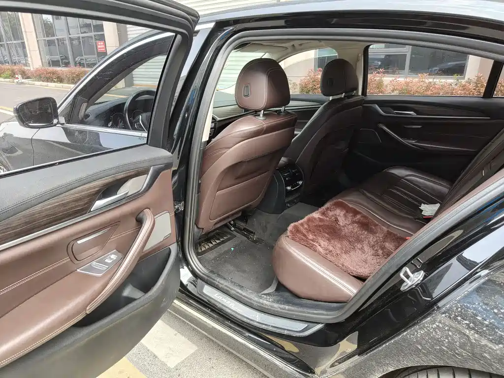 BMW BMW 5 Series 2019 530Li Luxury Package 2019 - thumbnail 6