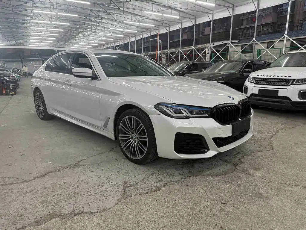 BMW BMW 5 Series 2020 530Li Luxury M Sport Package 2020