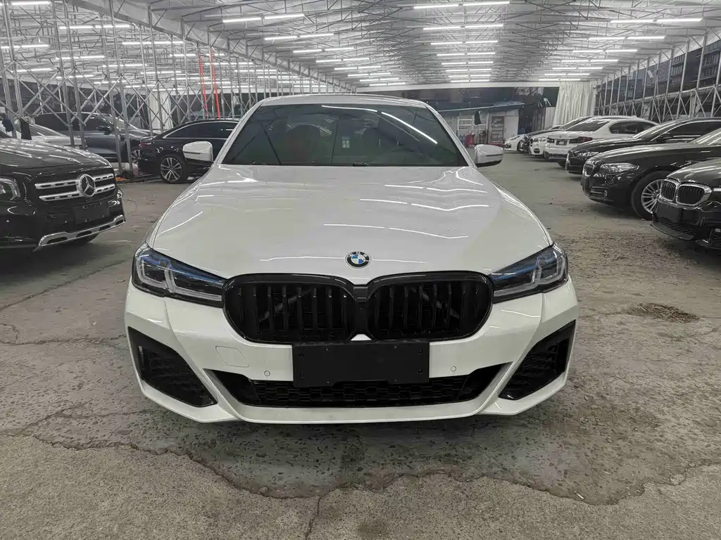 BMW BMW 5 Series 2020 530Li Luxury M Sport Package 2020 - thumbnail 2