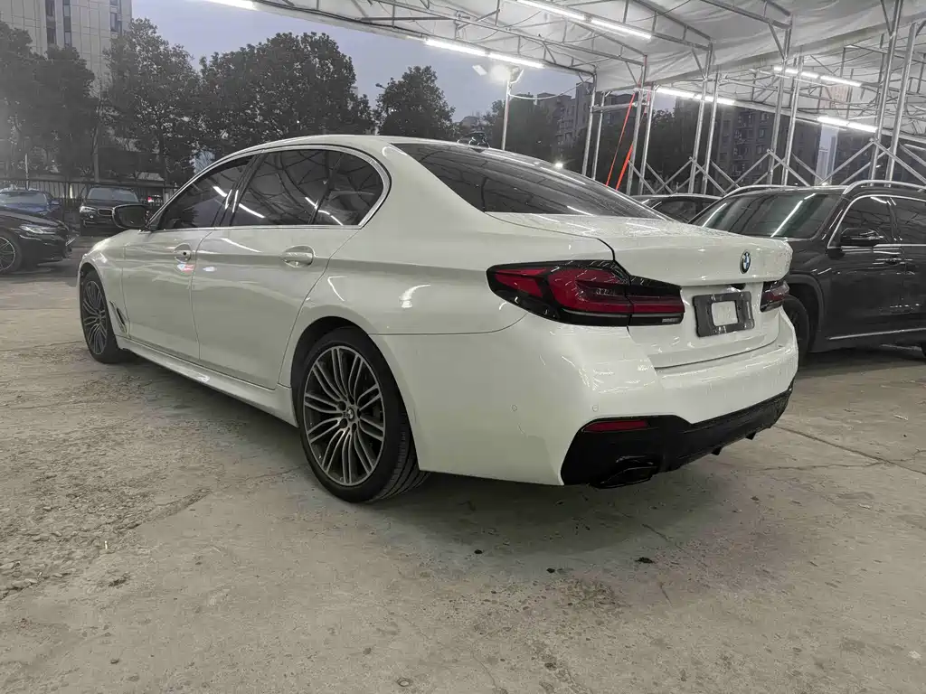 BMW BMW 5 Series 2020 530Li Luxury M Sport Package 2020 - thumbnail 6