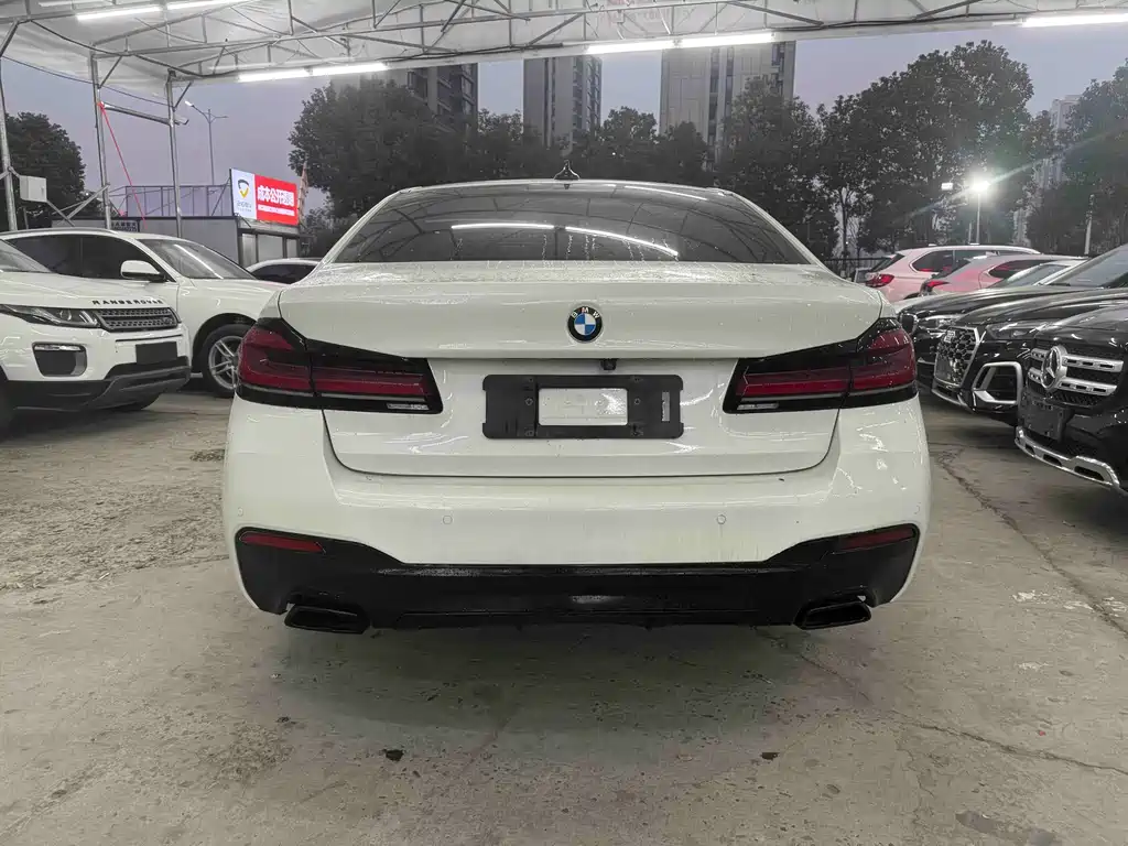 BMW BMW 5 Series 2020 530Li Luxury M Sport Package 2020 - thumbnail 7