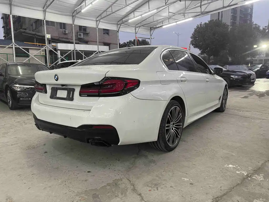 BMW BMW 5 Series 2020 530Li Luxury M Sport Package 2020 - thumbnail 8