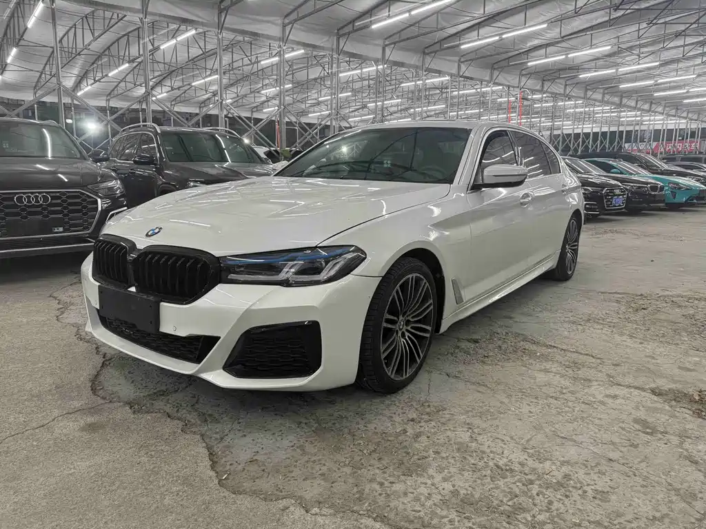 BMW BMW 5 Series 2020 530Li Luxury M Sport Package 2020 - thumbnail 9