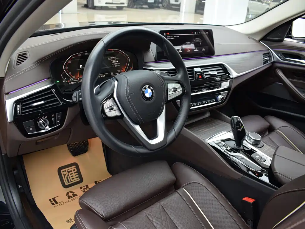 BMW BMW 5 Series 2020 530Li Luxury Package 2020 - thumbnail 6