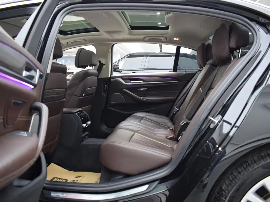 BMW BMW 5 Series 2020 530Li Luxury Package 2020 - thumbnail 7