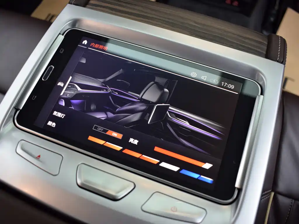 BMW BMW 5 Series 2020 530Li Luxury Package 2020 - thumbnail 13