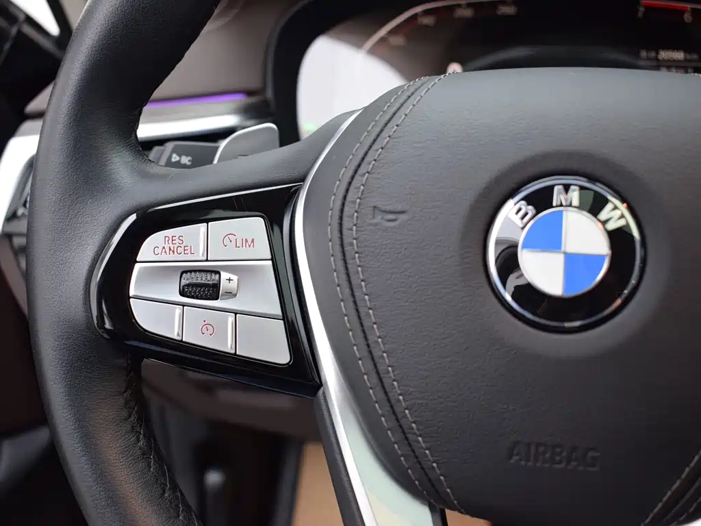 BMW BMW 5 Series 2020 530Li Luxury Package 2020 - thumbnail 19