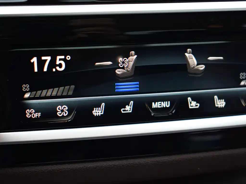BMW BMW 5 Series 2020 530Li Luxury Package 2020 - thumbnail 23