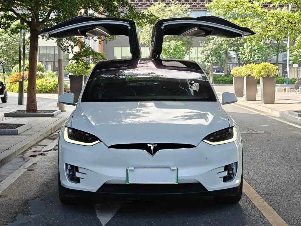 Tesla Model X 2017 Model X 100D Long Range Version 2017 - thumbnail 2