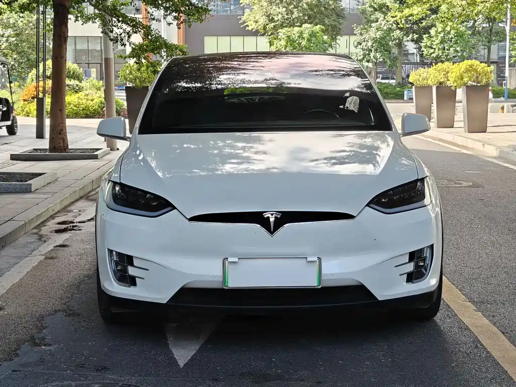 Tesla Model X 2017 Model X 100D Long Range Version 2017 - thumbnail 3