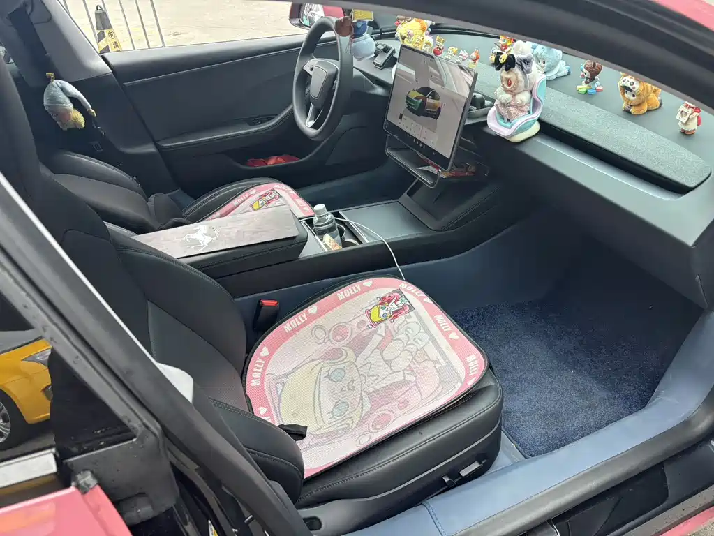 Tesla Model 3 2025 Rear-Wheel Drive 2025 - thumbnail 9