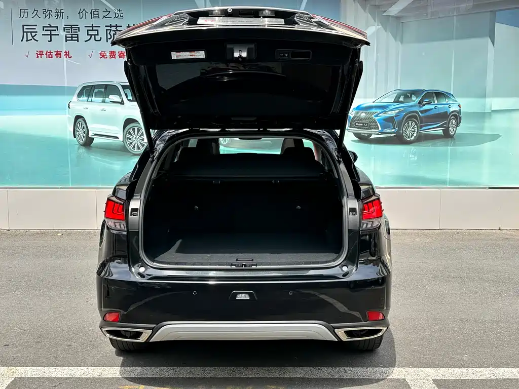 Lexus Lexus RX 300 AWD Elegant Edition 2020 Model Year Facelift 2022 - thumbnail 7