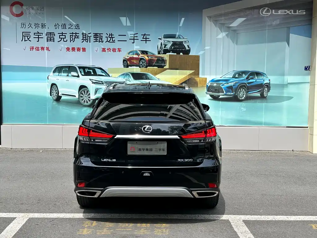 Lexus Lexus RX 300 AWD Elegant Edition 2020 Model Year Facelift 2022 - thumbnail 8