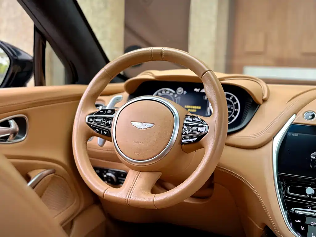 Aston Martin Aston Martin DBX 2020 4.0T V8 2021 - thumbnail 10
