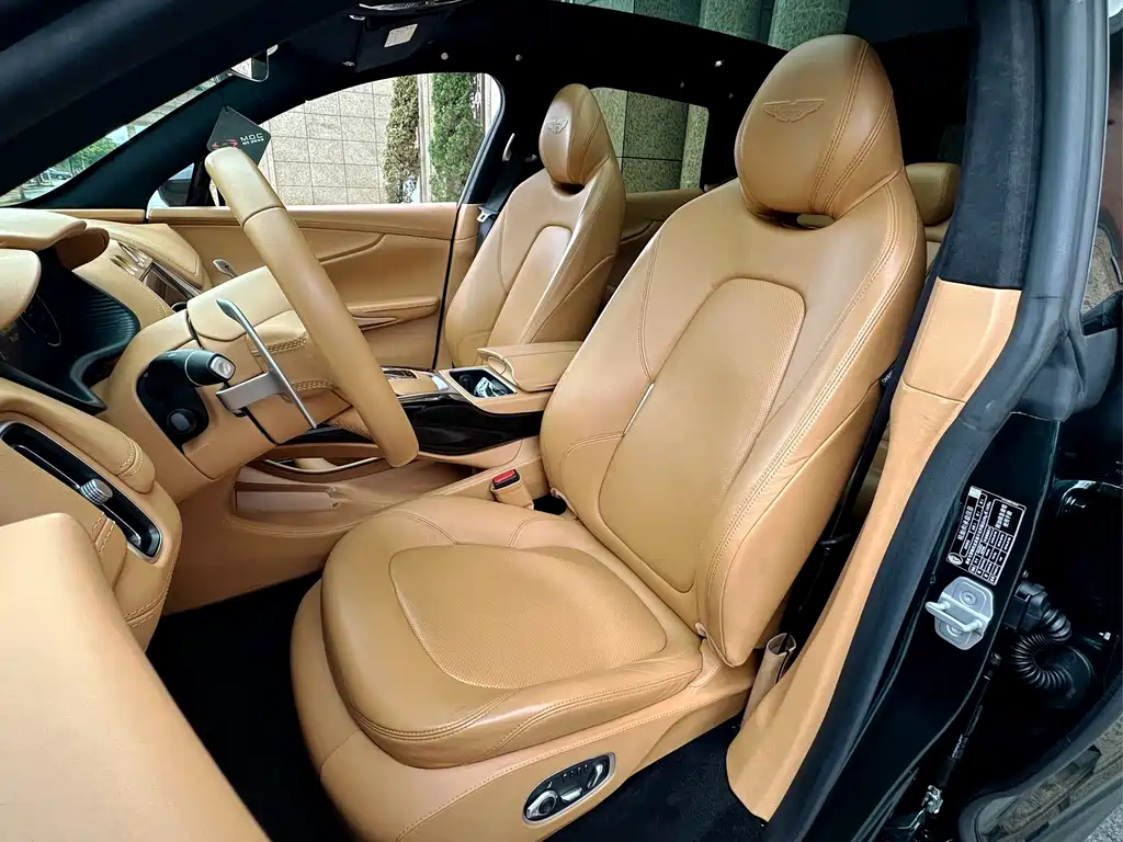 Aston Martin Aston Martin DBX 2020 4.0T V8 2021 - thumbnail 11